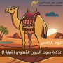 yanqul.net Day 5 Ticket: Shawt Al Hiran Al Shitawi (Shraya-1) This ticket allows entry and participation in this heat